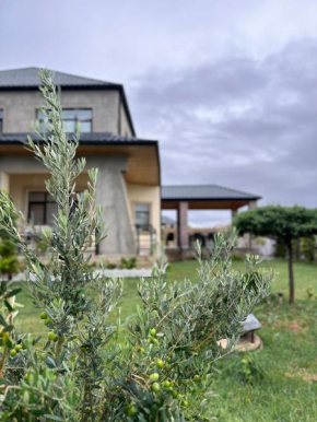 Villa SM